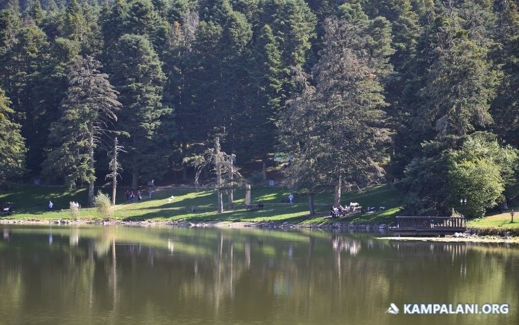 Bolu'nun Saklı Cennetinde Yürüyüş Keyfi